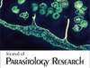 Call-for-Papers in the field of 